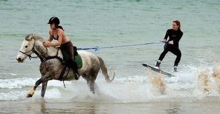 Horse Wakeboarding